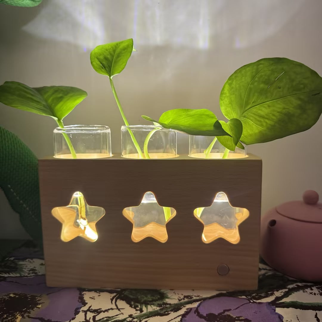 GREEN LIGHT-STAR