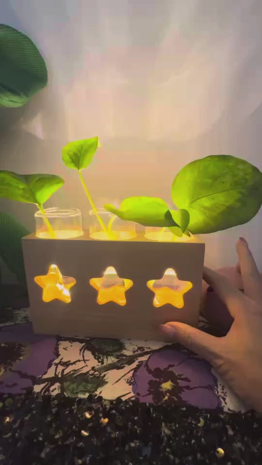 GREEN LIGHT-STAR